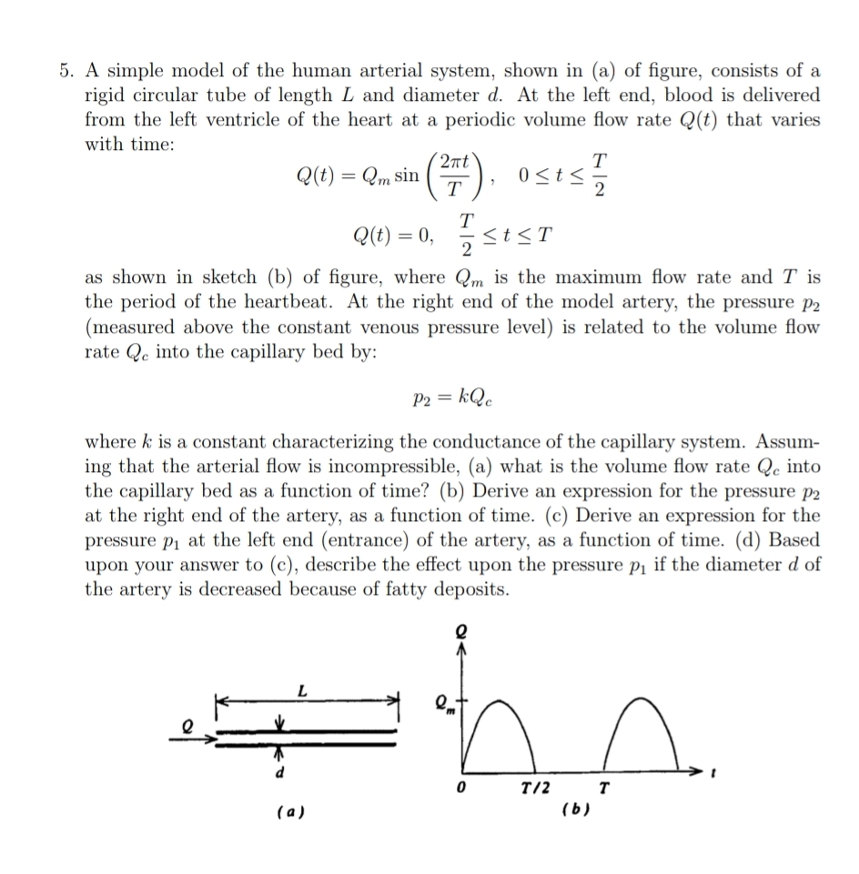 A simple model of the human arterial system,