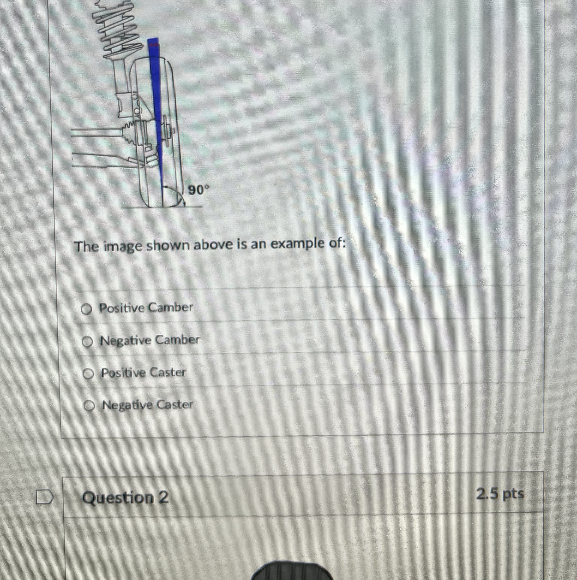 The image shown above is an example of: Positive