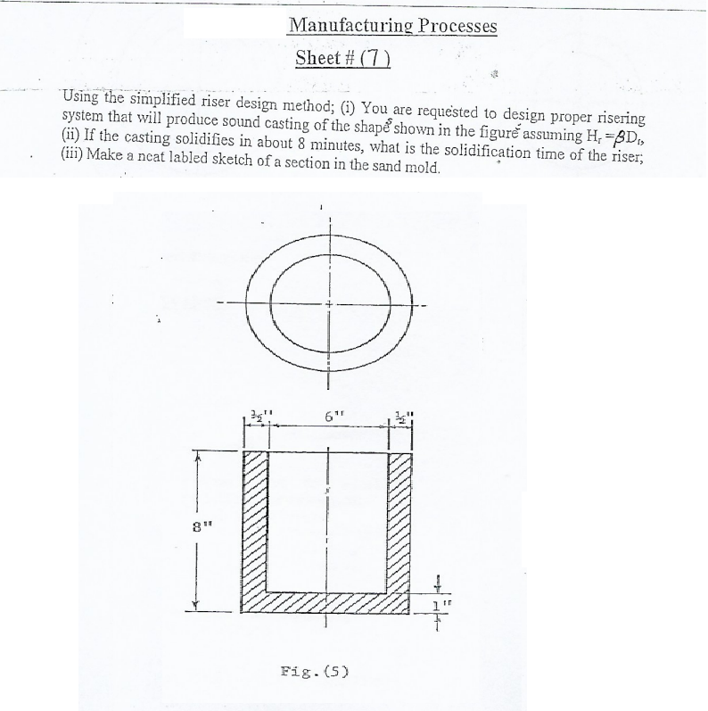 ( iii ) Make a neat labled sketch of a section in