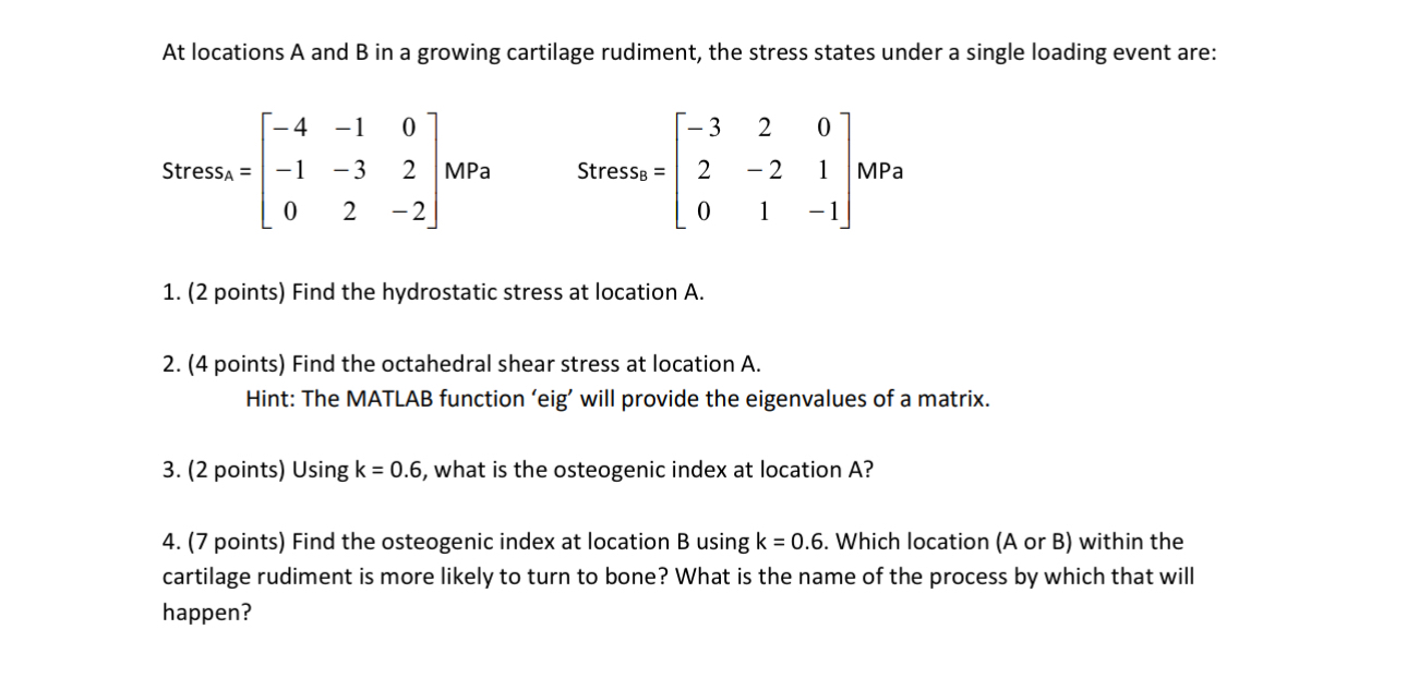 At locations A and B in a growing cartilage
