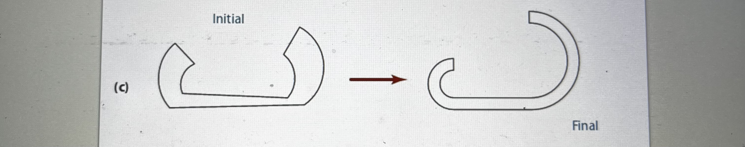 Follow the directions in the book. Neatly hand -