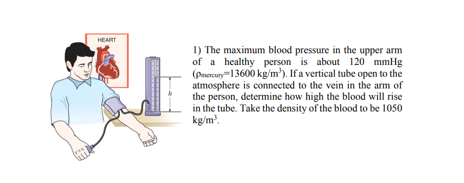 The maximum blood pressure in the upper arm of a