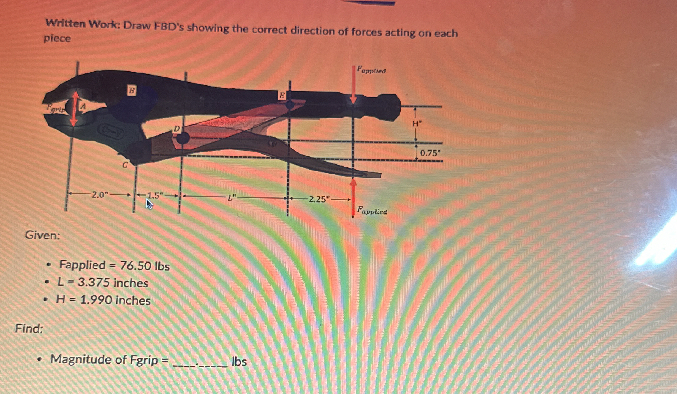 Written Work: Draw FBD ' s showing the correct
