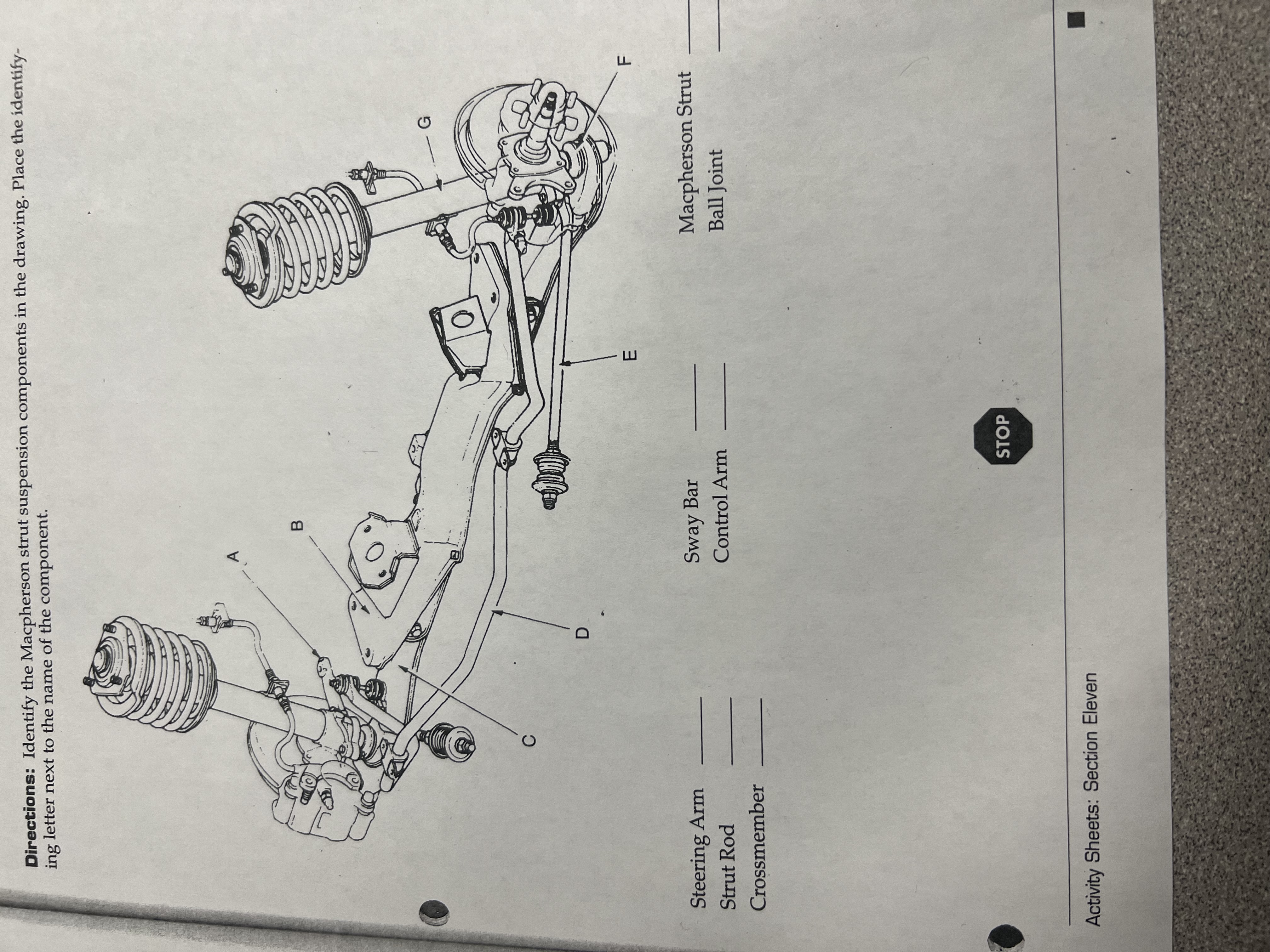 Directions: Identify the Macpherson strut