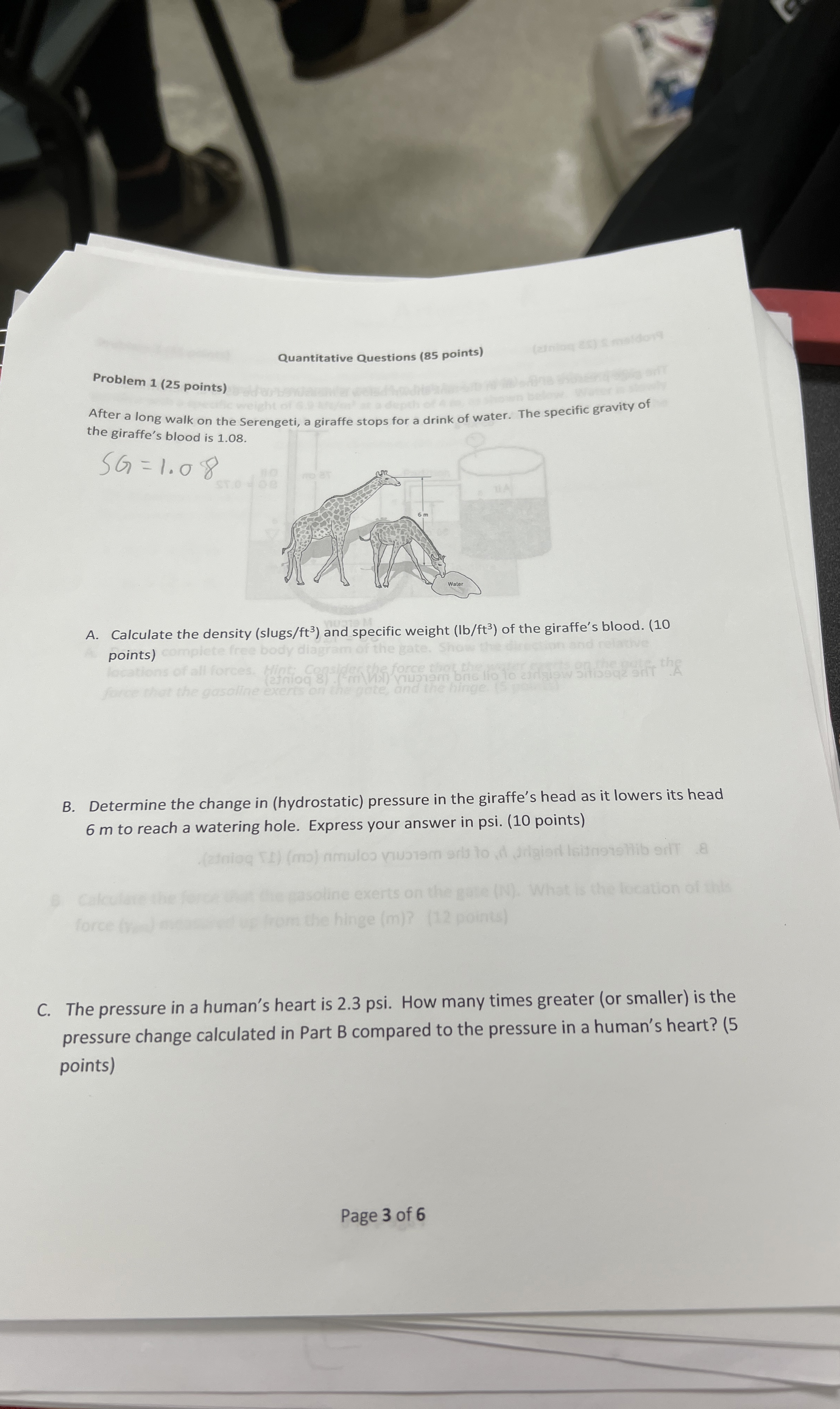 Problem 1 ( 2 5 points ) After a long walk on the