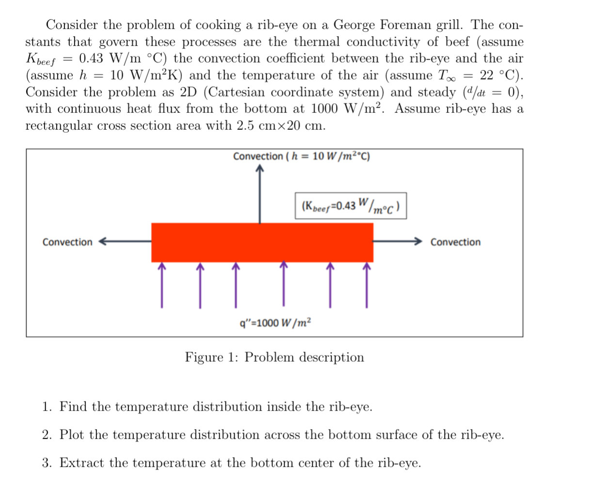 Consider the problem of cooking a rib - eye on a