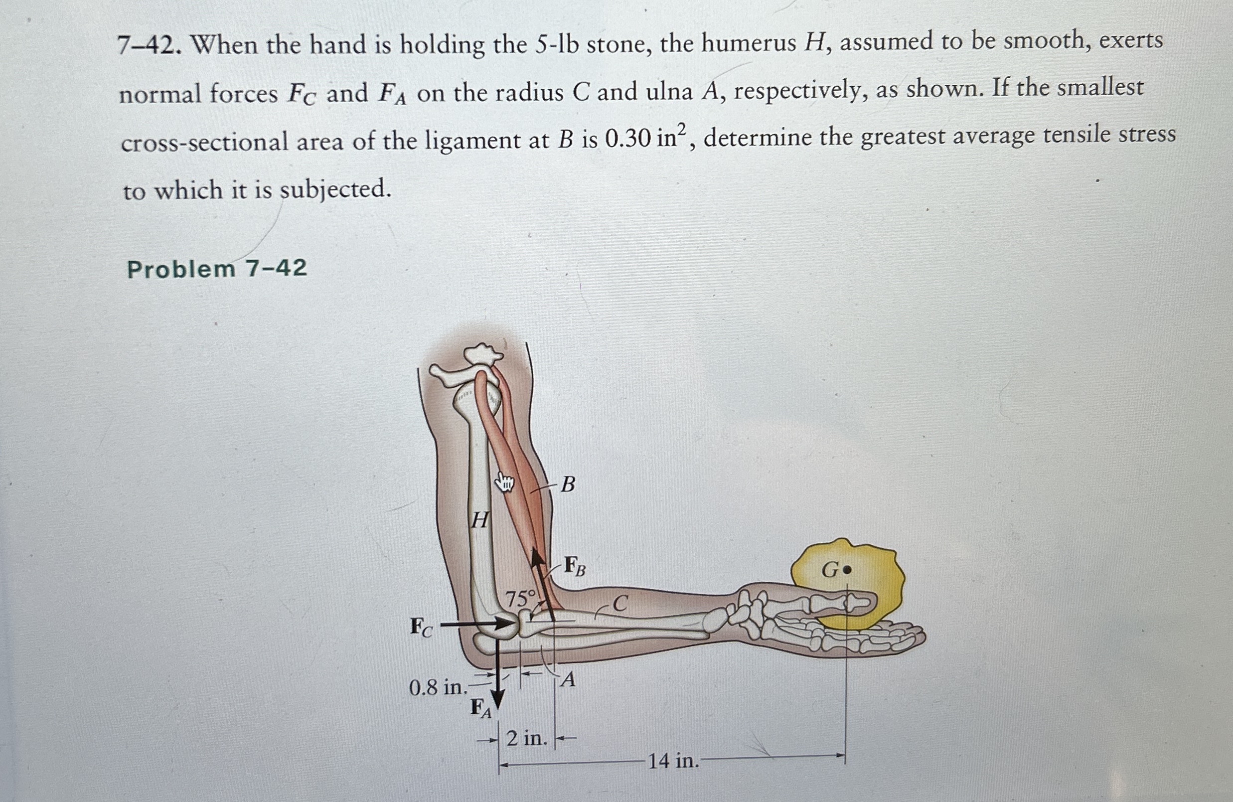 In probelm 7 - 4 2 , what are the magnitude of
