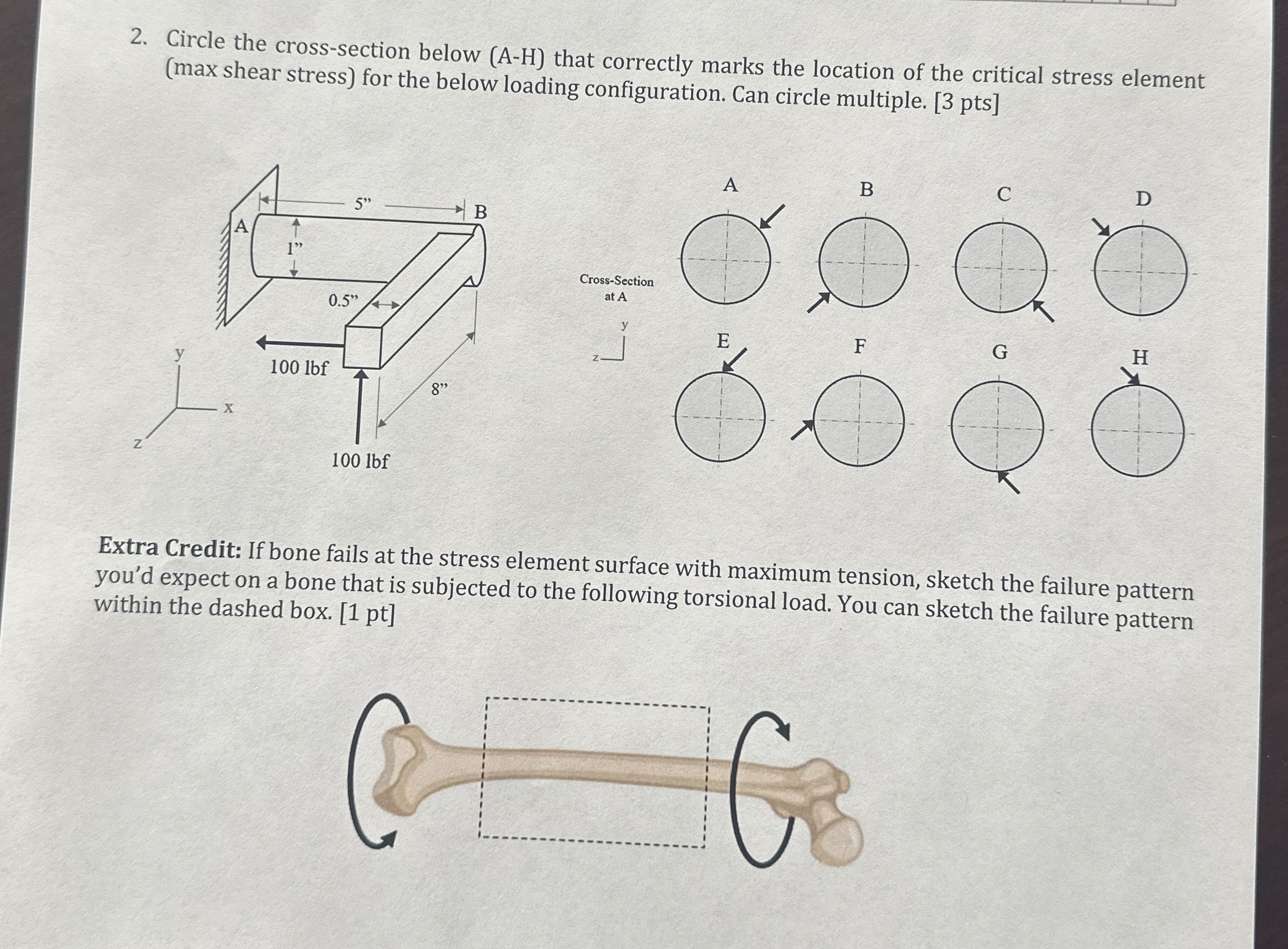 Circle the cross - section below ( A - H ) that