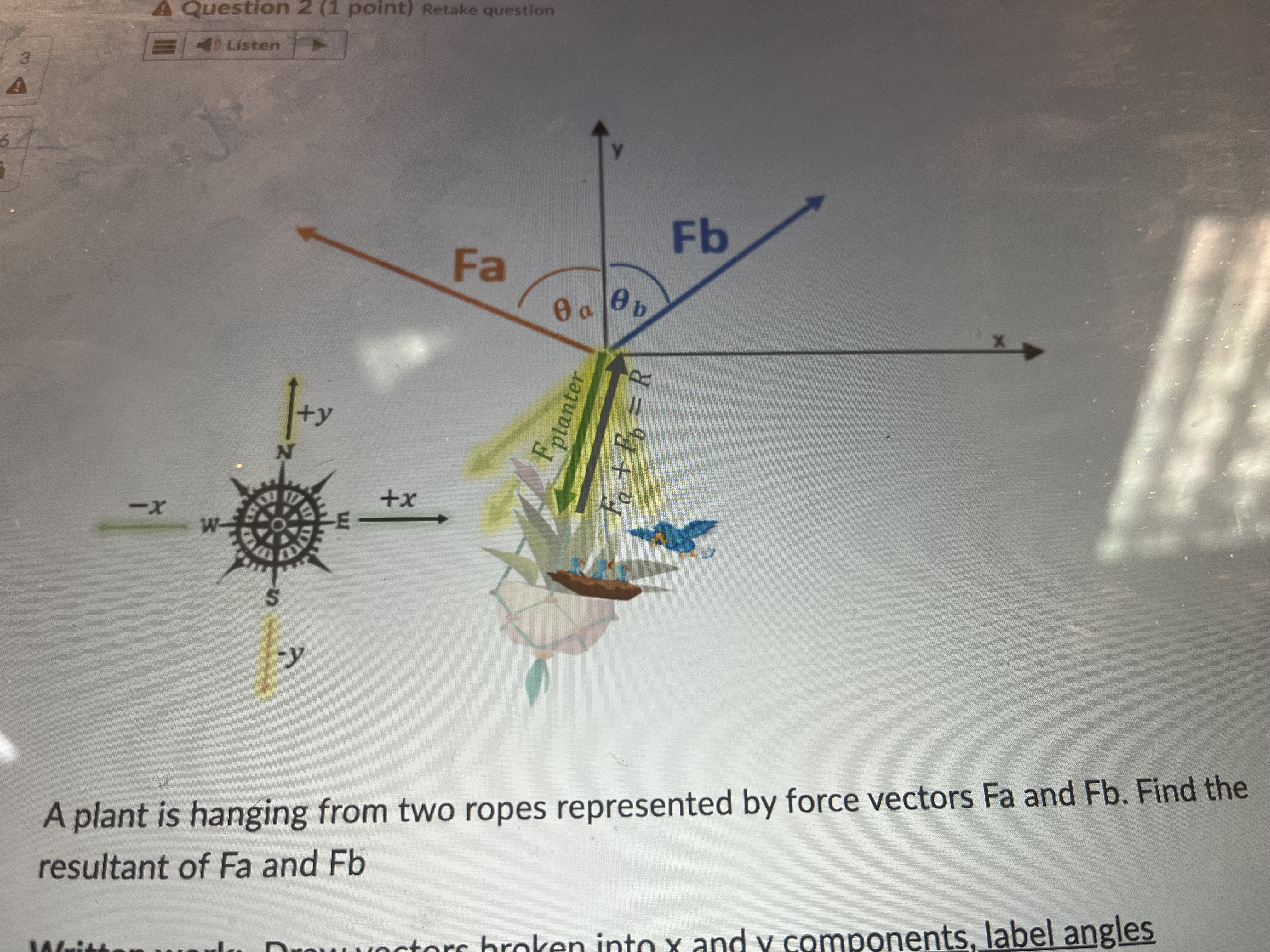 A plant is hanging from two ropes represented by