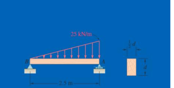 Find the magnitude and direction of the support