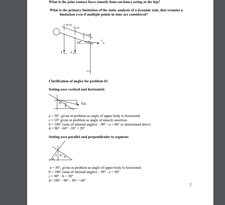 What is the joint contact force ( mostly bone -