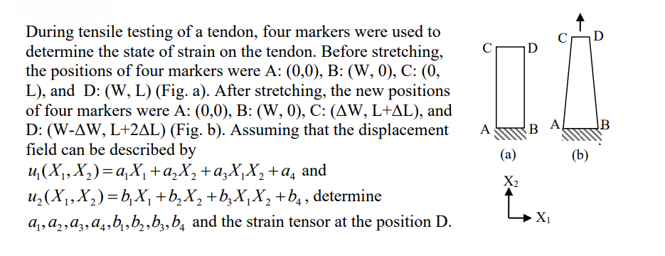 During tensile testing of a tendon, four markers