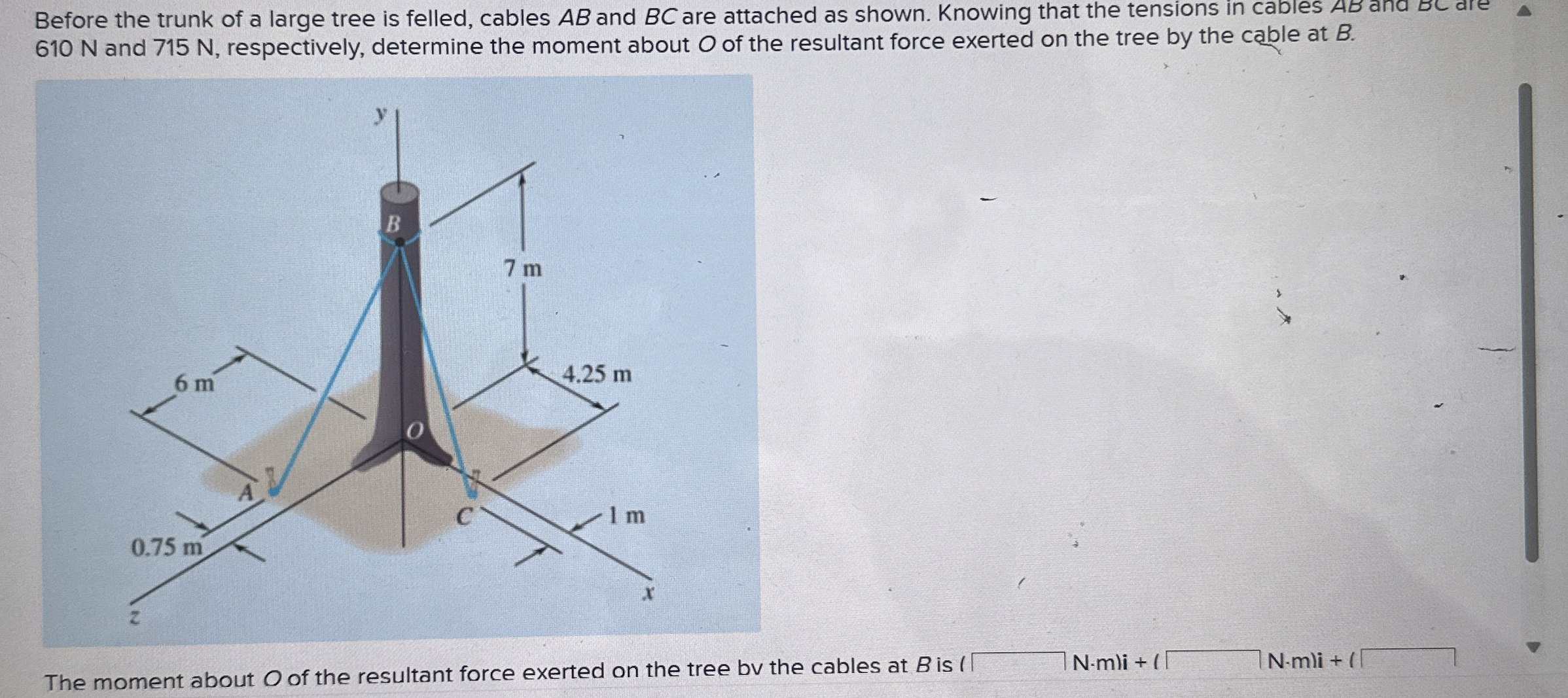 Before the trunk of a large tree is felled,