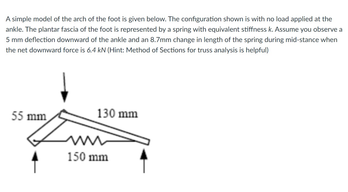 A simple model of the arch of the foot is given