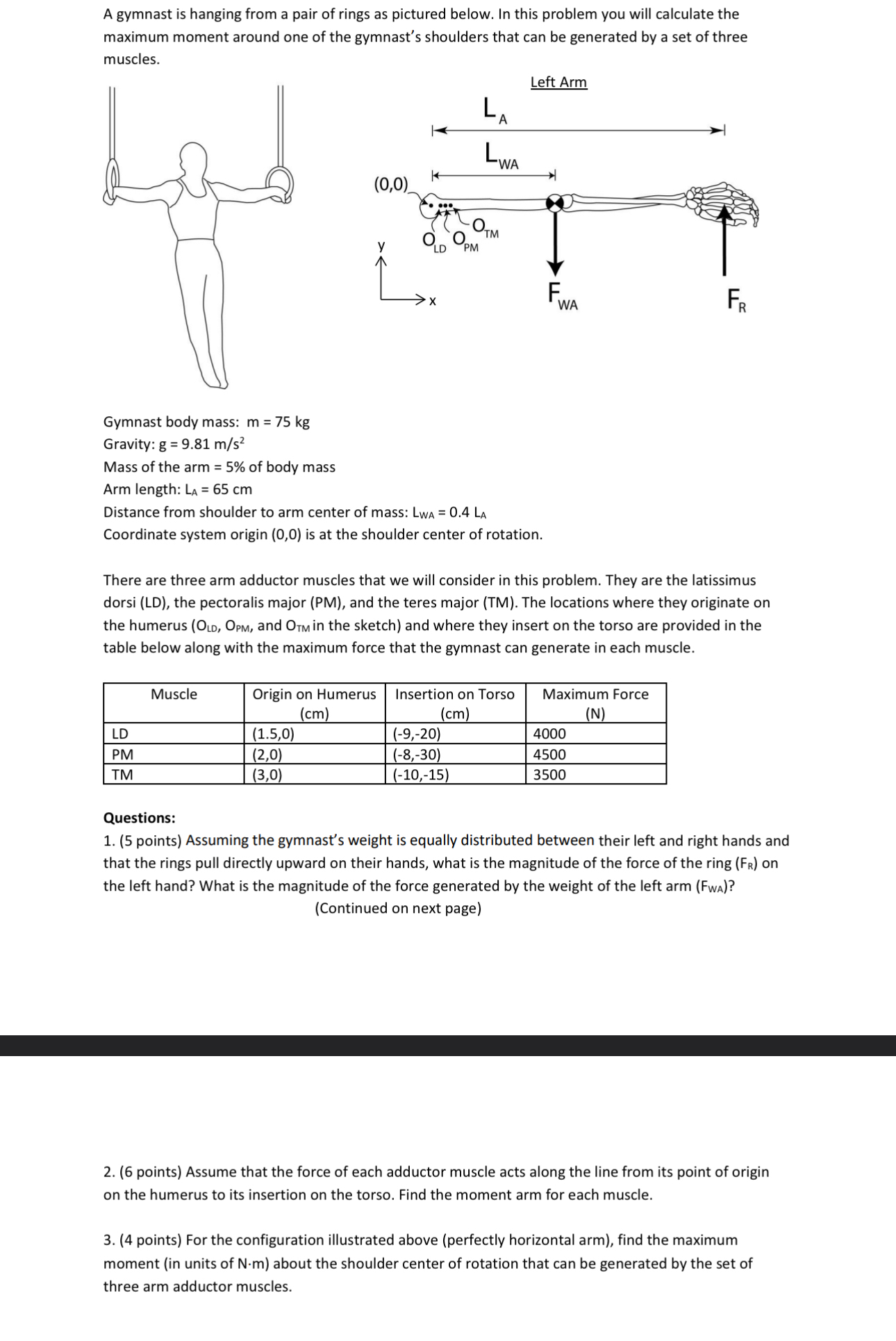 A gymnast is hanging from a pair of rings as