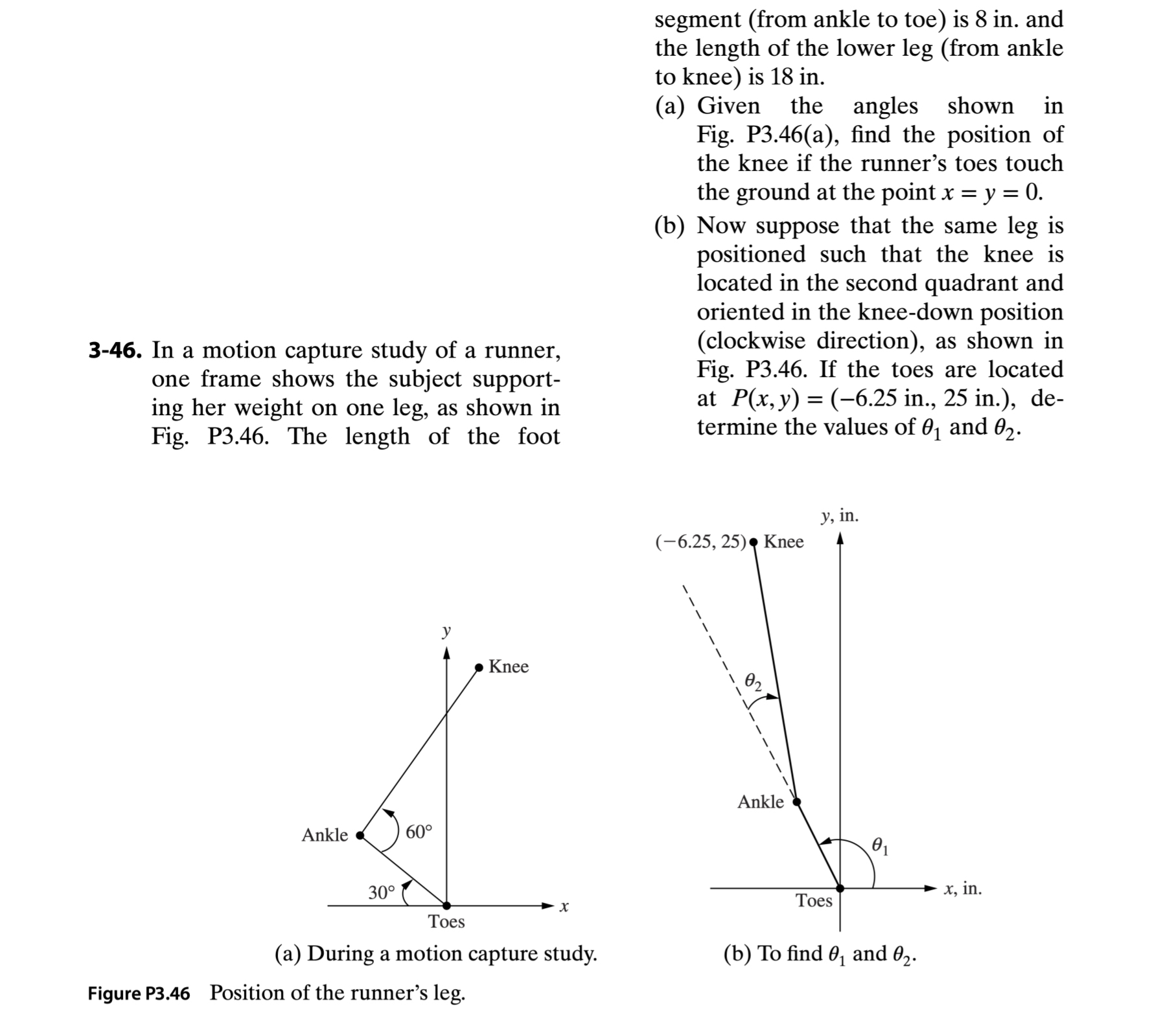 segment ( from ankle to toe ) is 8 in . and the