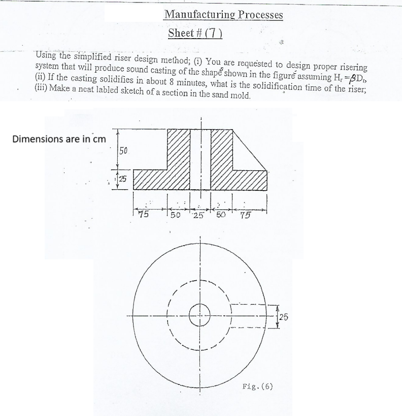 ( iii ) Make a neat labled sketch of a section in