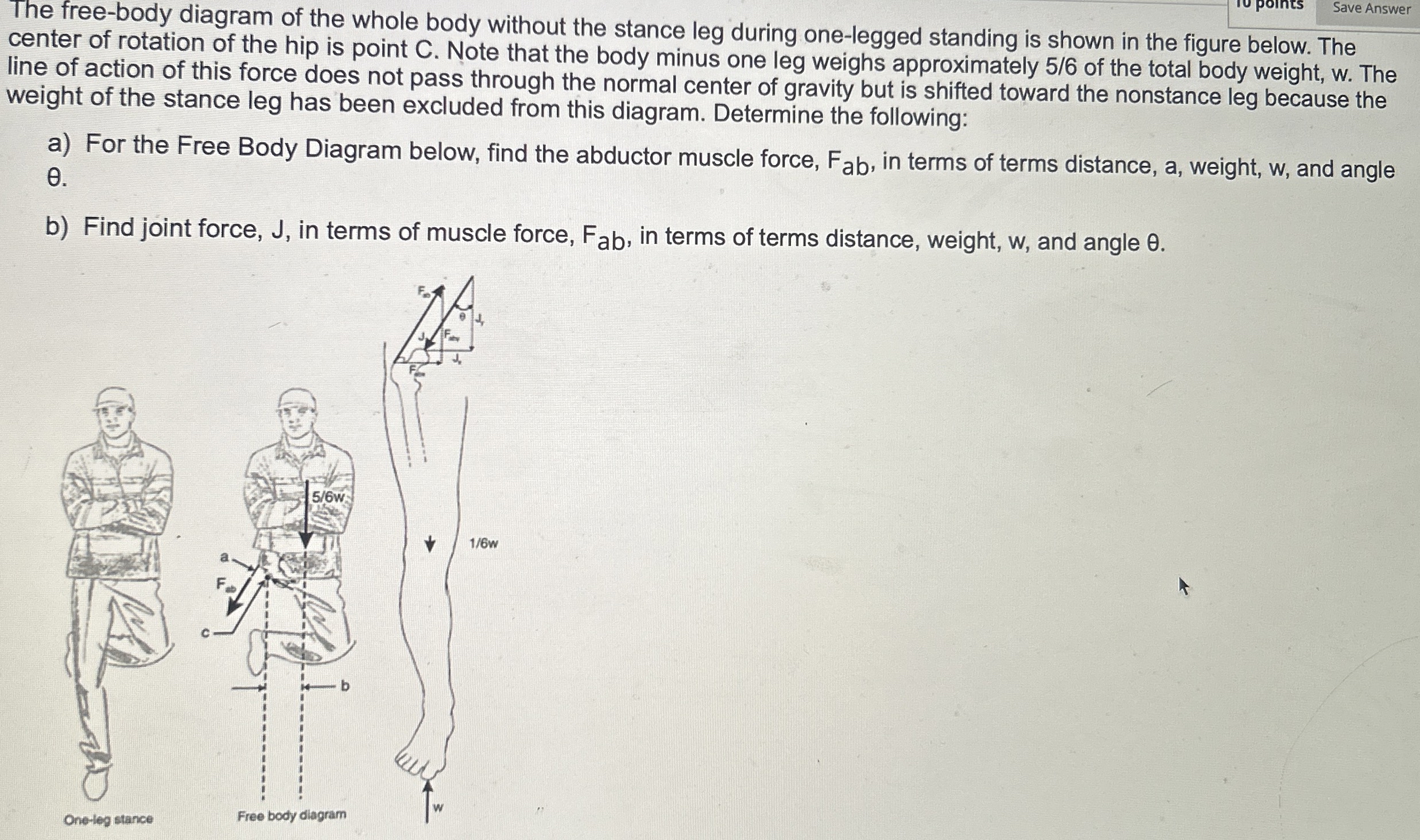 The free - body diagram of the whole body without