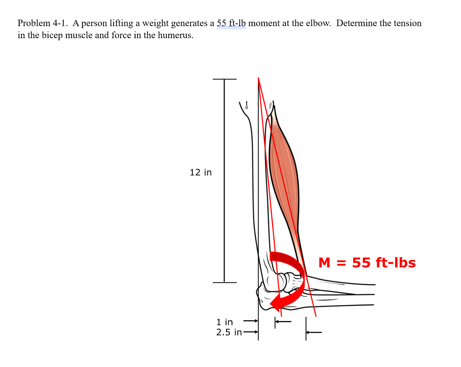 Problem 4 - 1 . A person lifting a weight