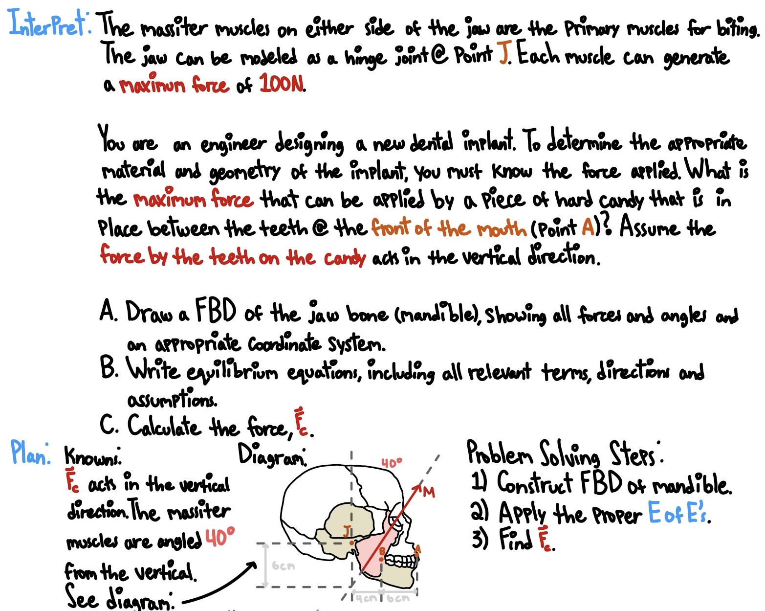 InterPret. The massiter muscles on either side of