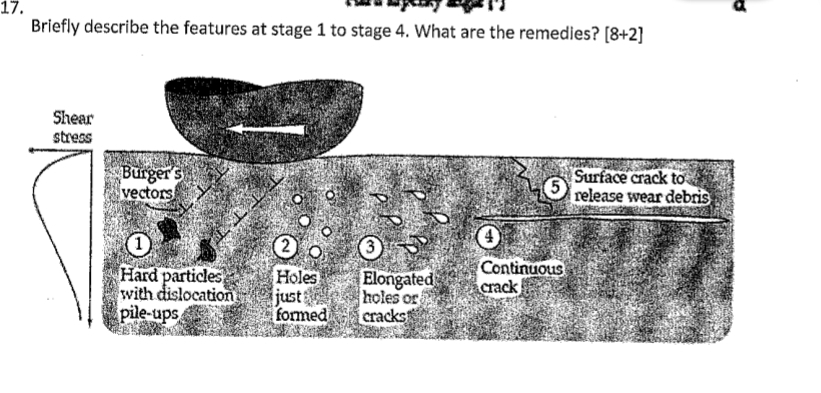 Briefly describe the features at stage 1 to stage