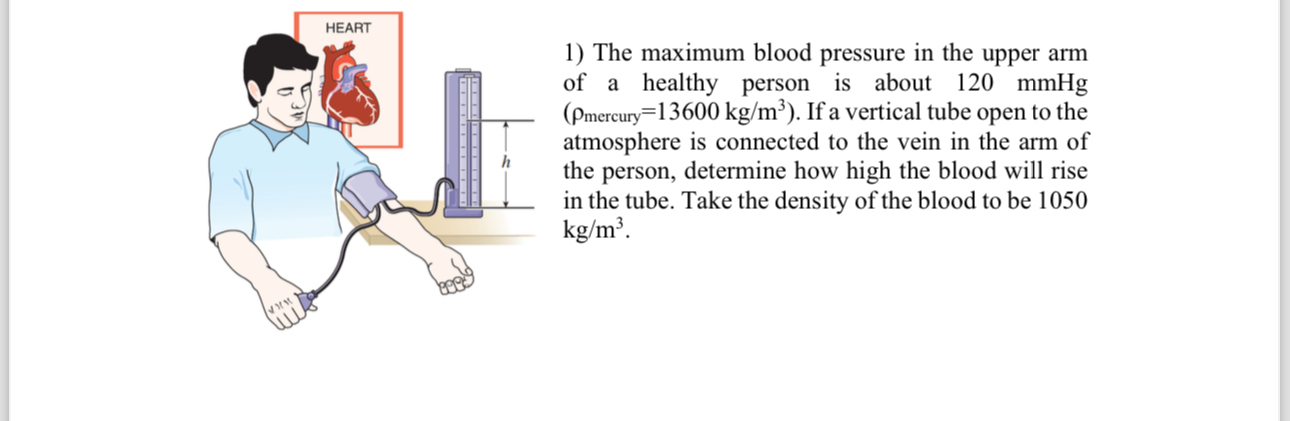 The maximum blood pressure in the upper arm of a