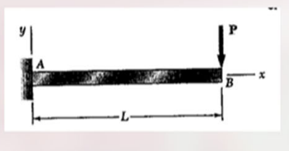 Determine the equation of the elastic curve,