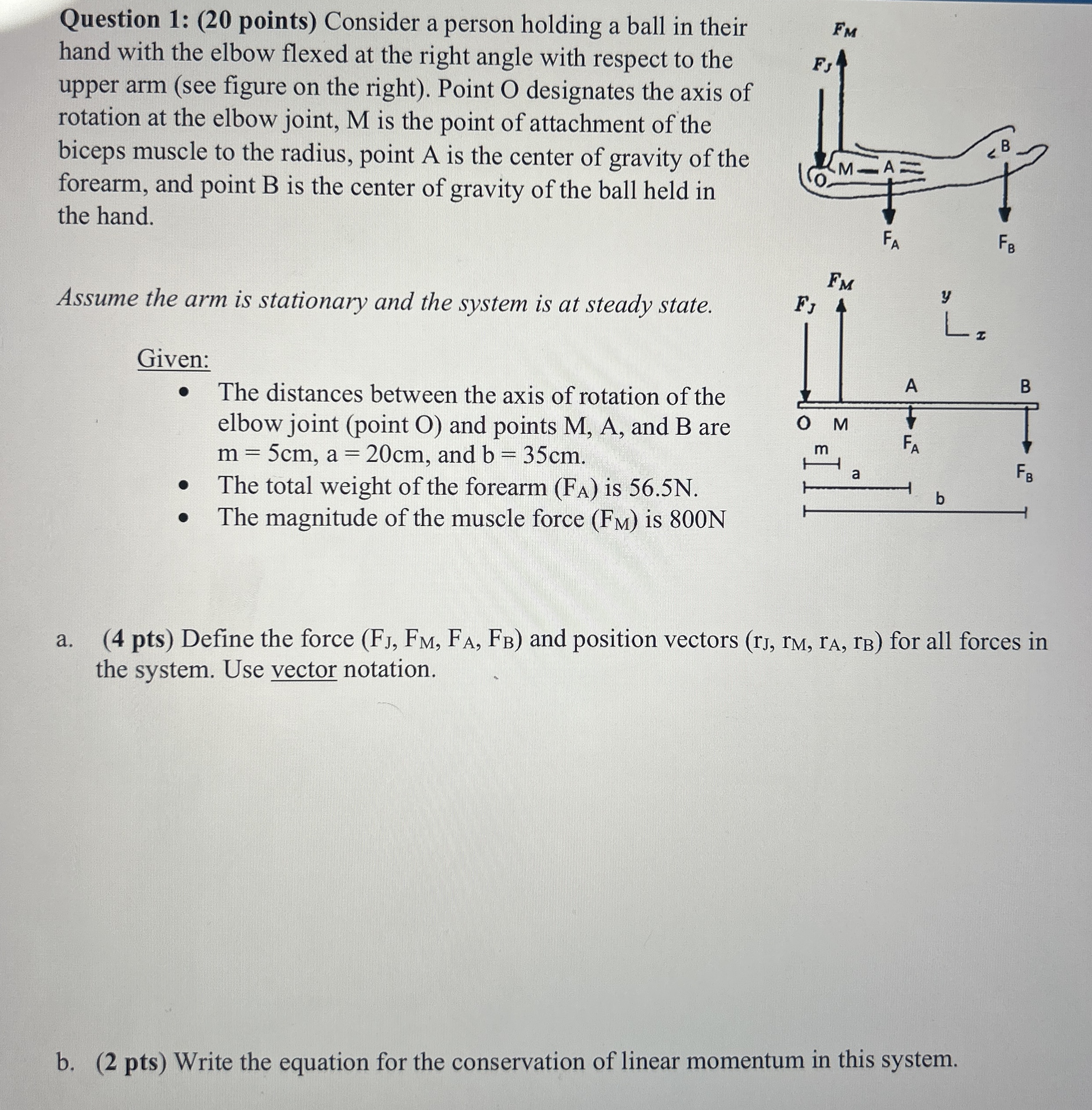 Question 1 : ( 2 0 points ) Consider a person