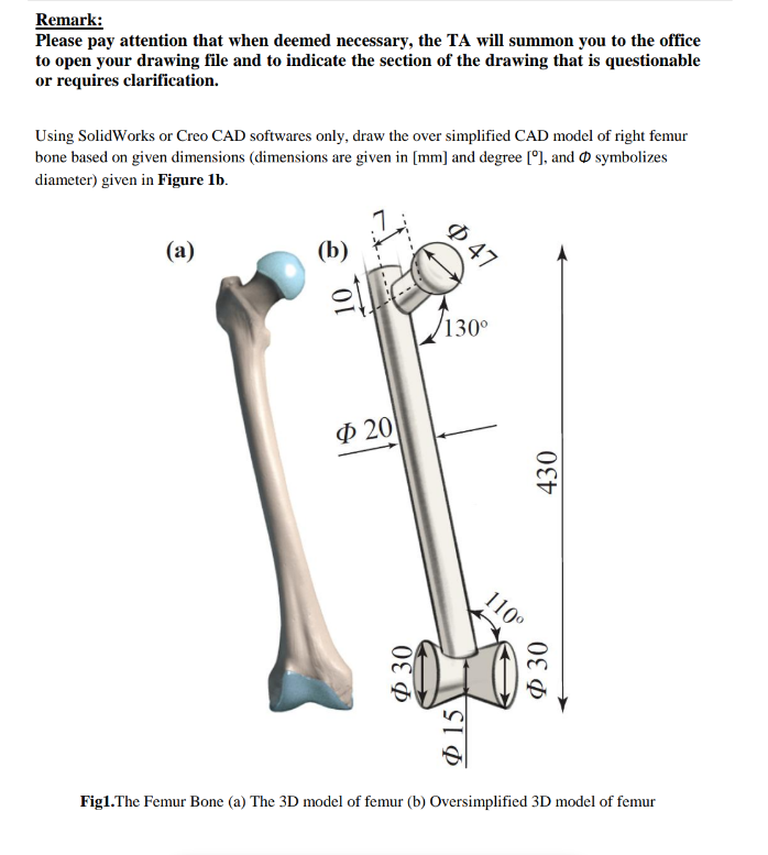 Biomechanics. Draw the Question on software