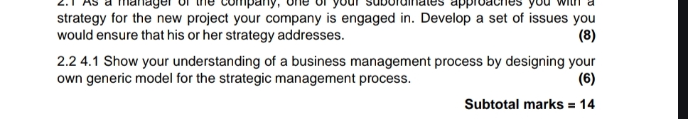 strategy for the new project your company is