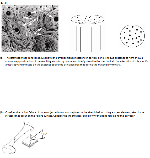  (a) The leftmost image (photo) above shows the arrangement of osteons