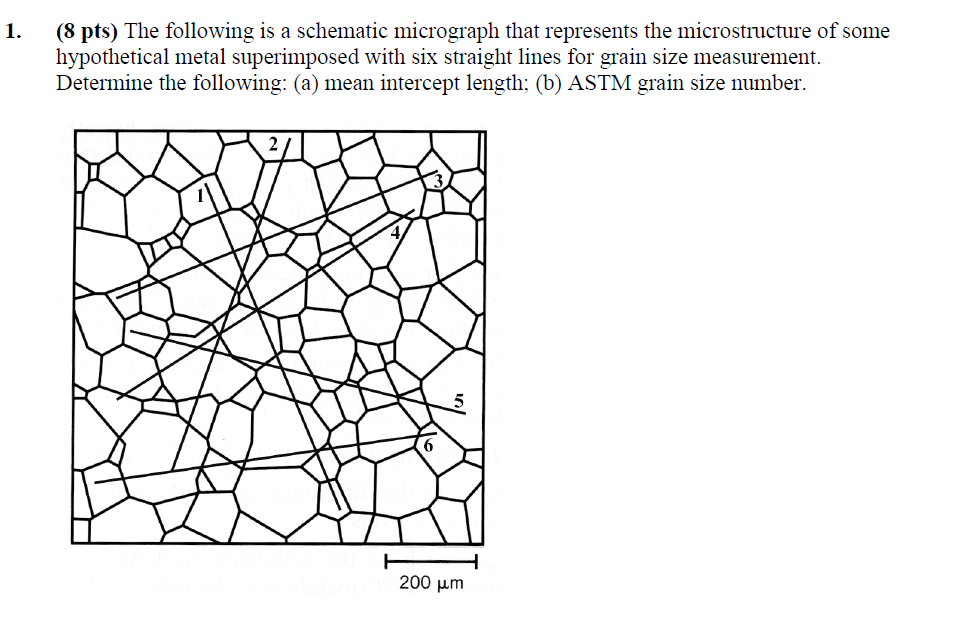 ( 8 p t s The following is a schematic micrograph