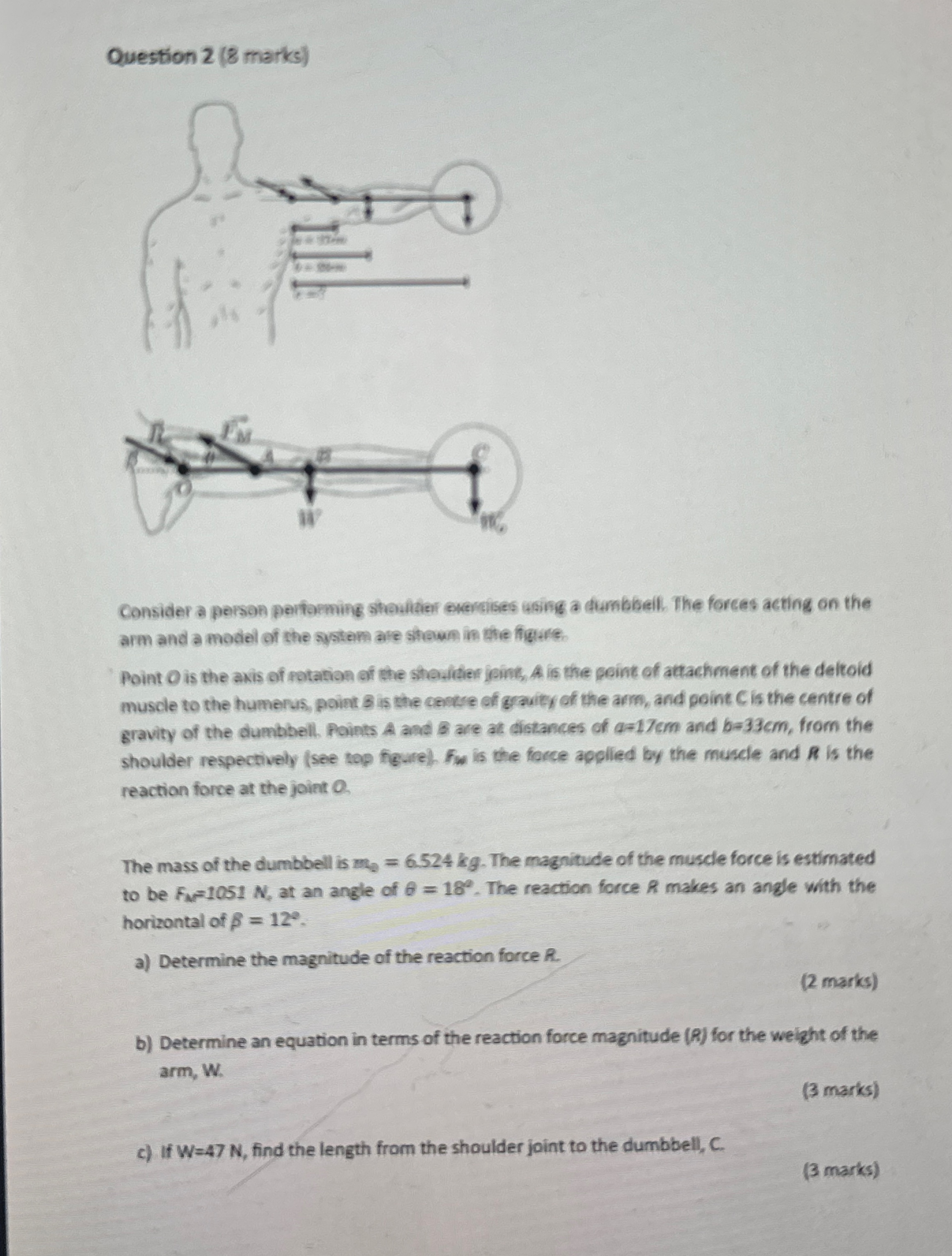 Question 2 ( 8 marks ) Consider a person