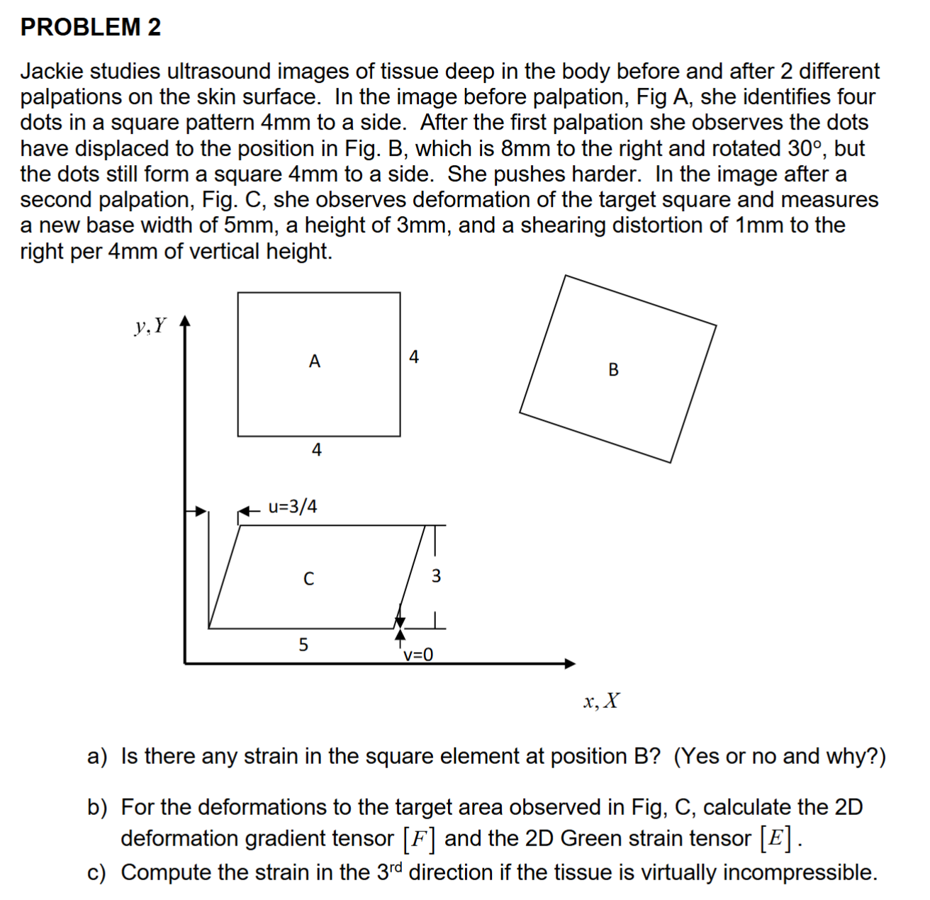 Jackie studies ultrasound images of tissue deep