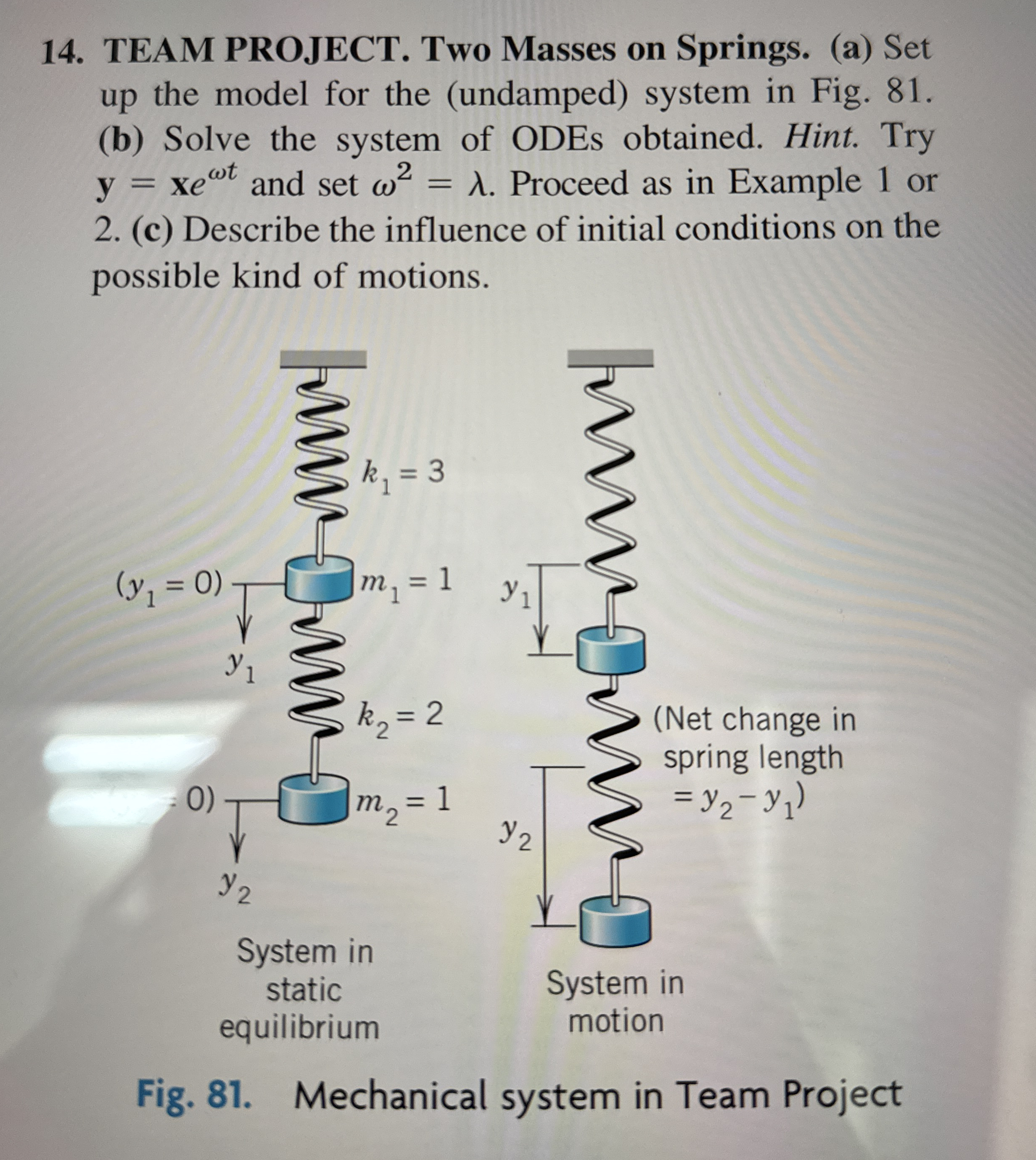 TEAM PROJECT. Two Masses on Springs. ( a ) Set up