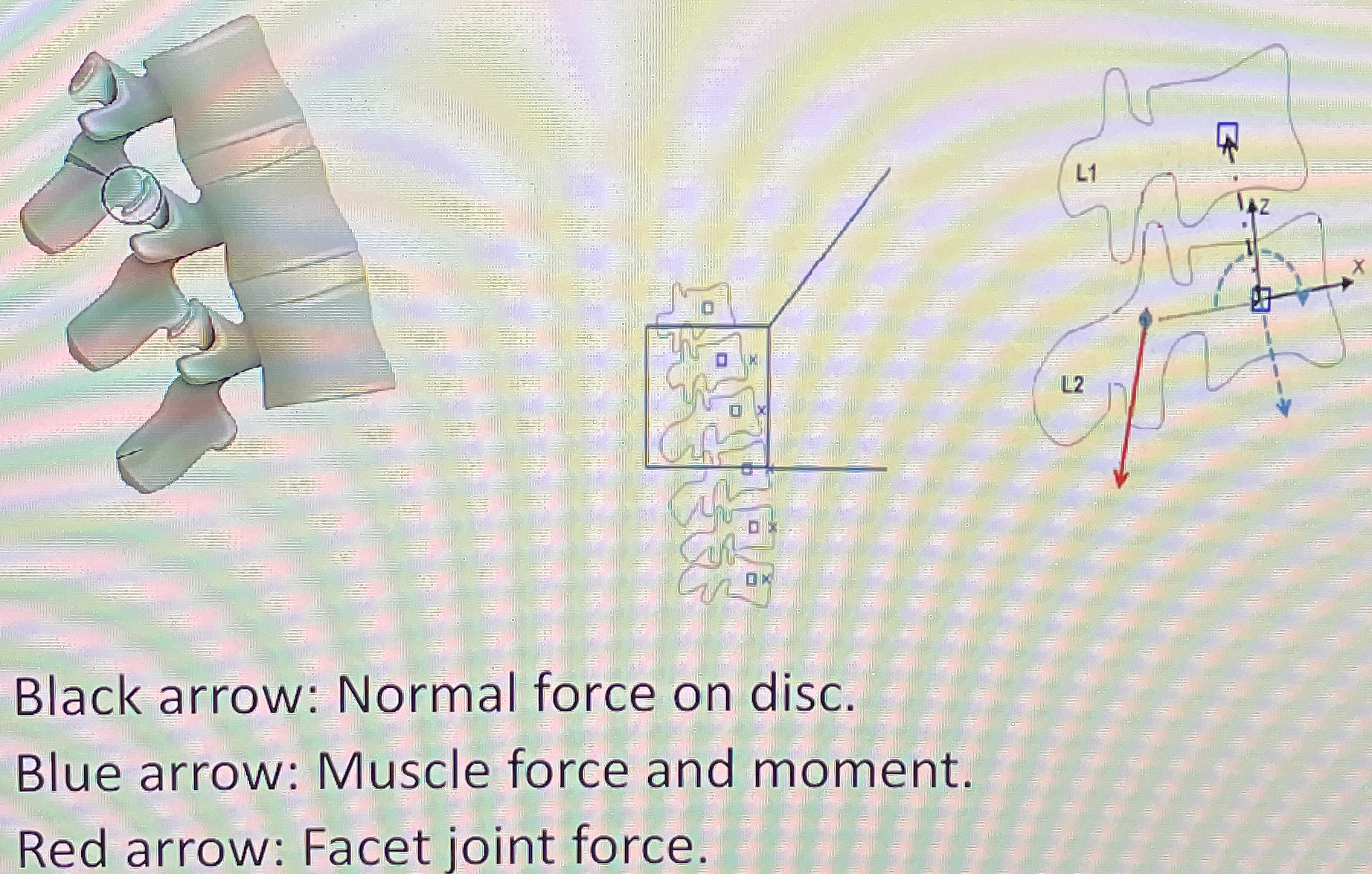 Problem 2 It is required to estimate the force at