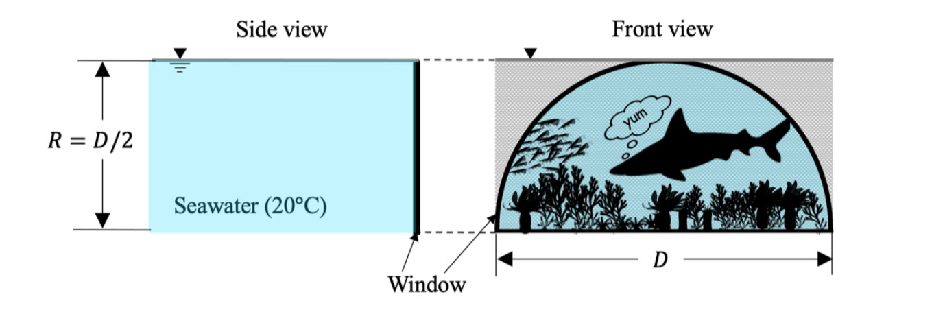 A seawater aquarium has a semi - circular window