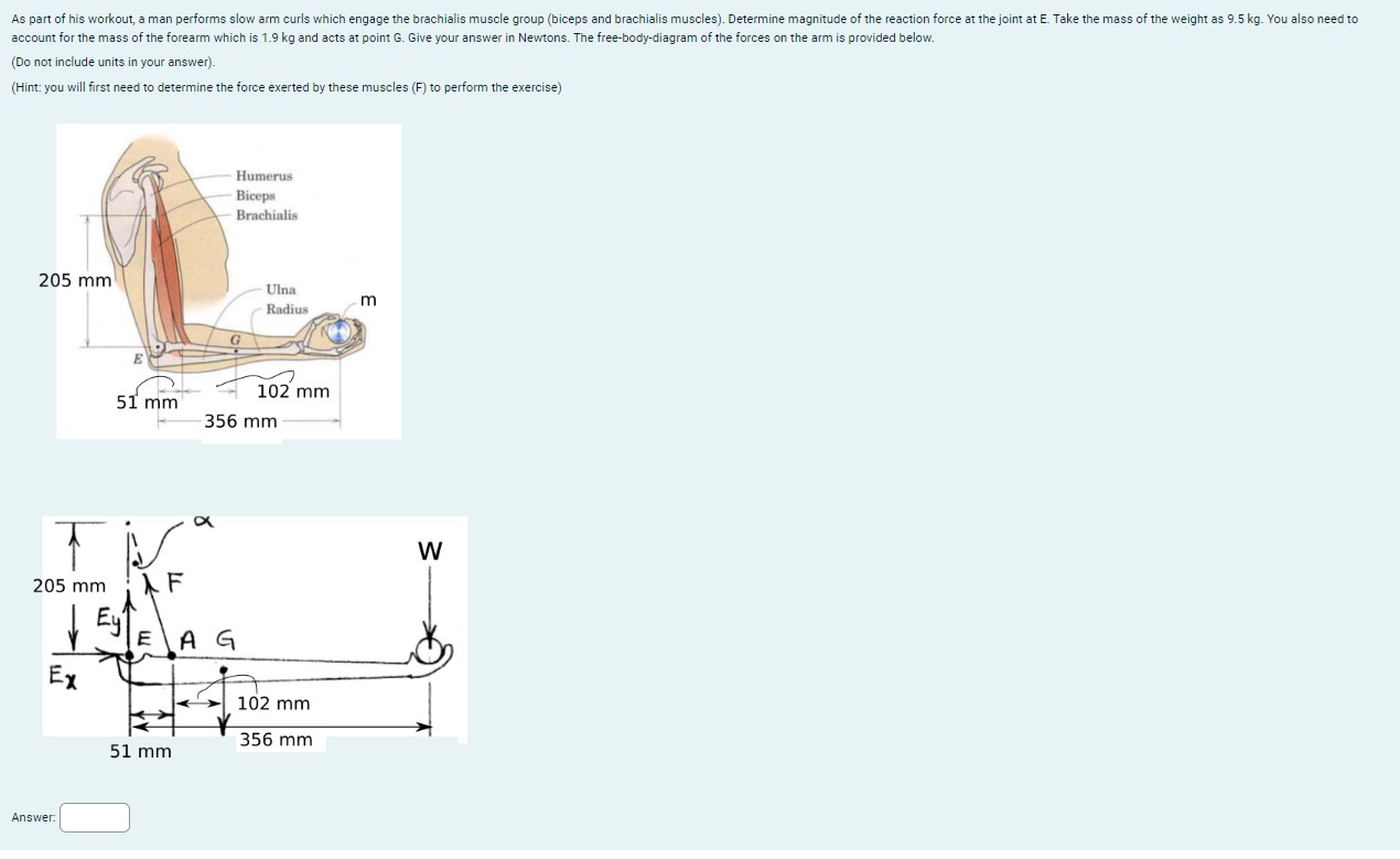 account for the mass of the forearm which is 1 .