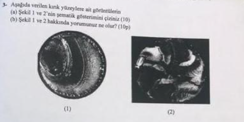 A a da verilen k r k y zeylere ait g r nt lerin (