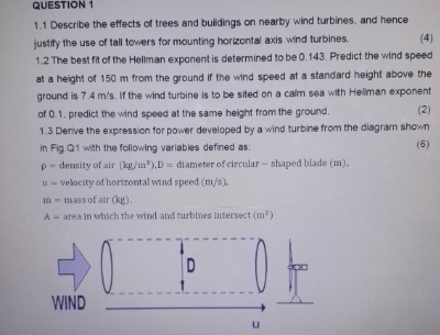 QUESTION 1 1 . 1 Describe the effects of trees