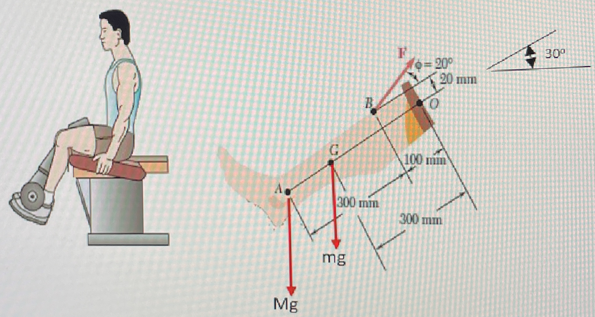 Problem 5 An athlete performs a leg extension