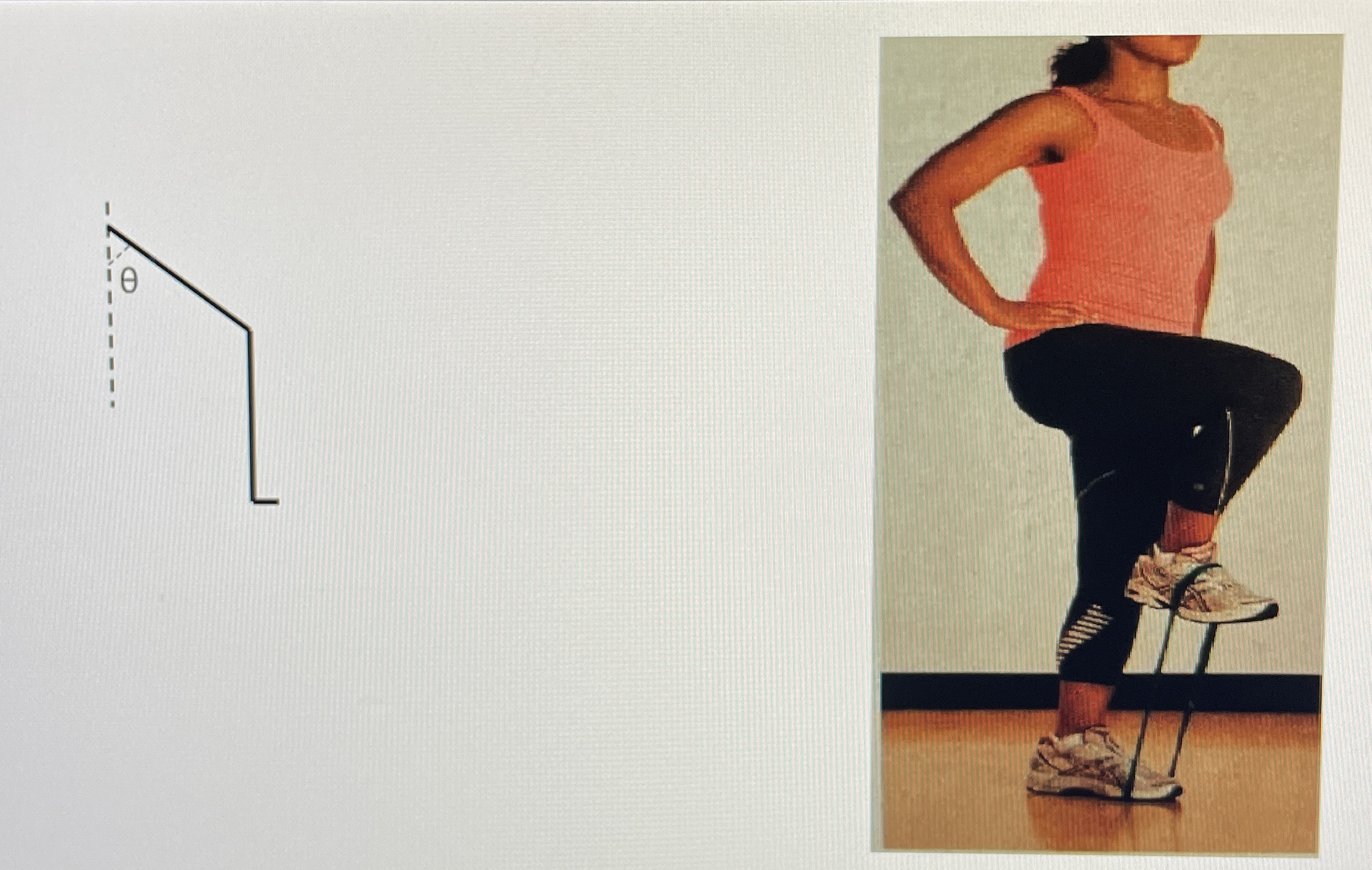 Problem 3 The person shown below is executing a