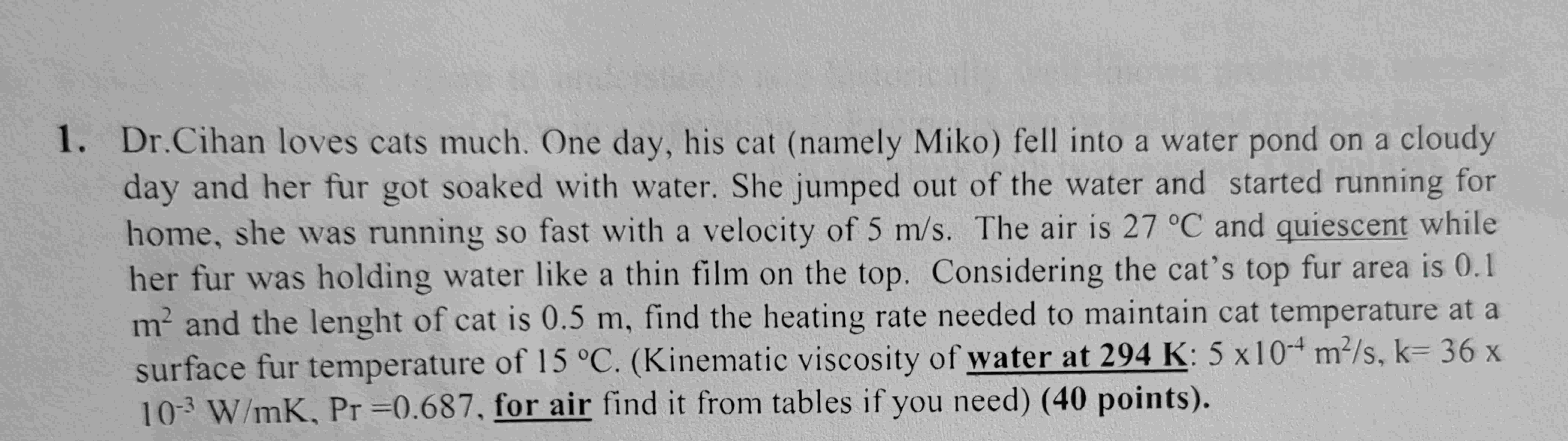Dr . Cihan loves cats much. One day, his cat (