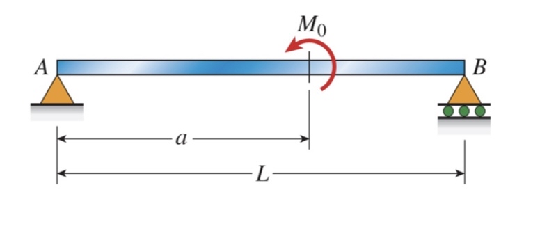 Which of the following statements about the