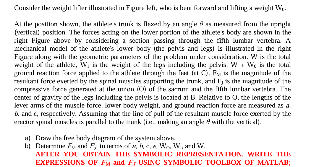 Consider the weight lifter illustrated in Figure