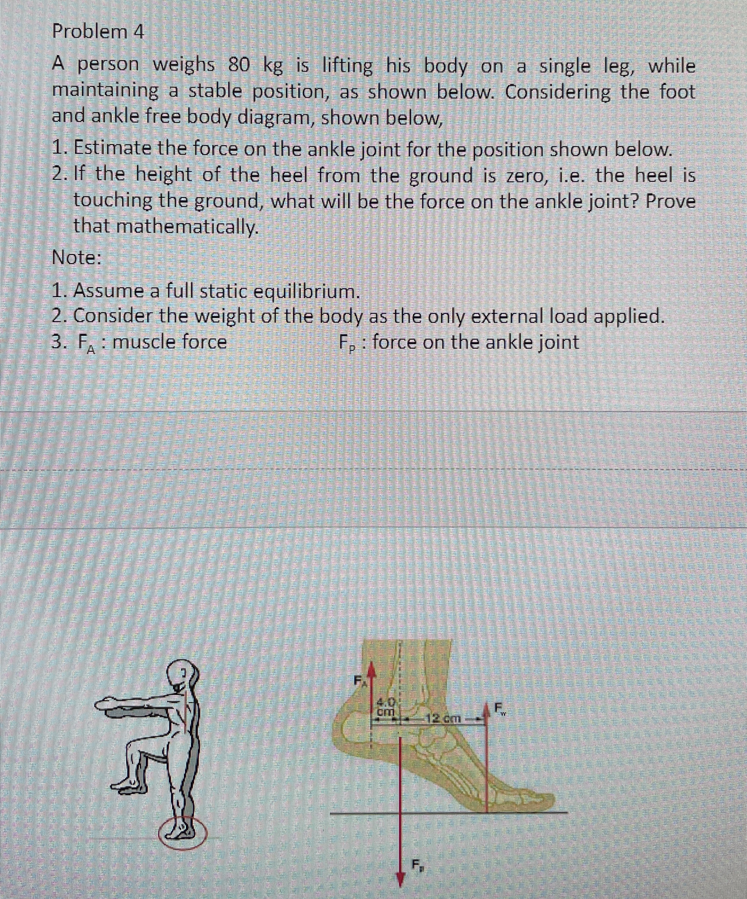 LLoowweerr LLiimmbb BBiioommeecchhaanniiccss::