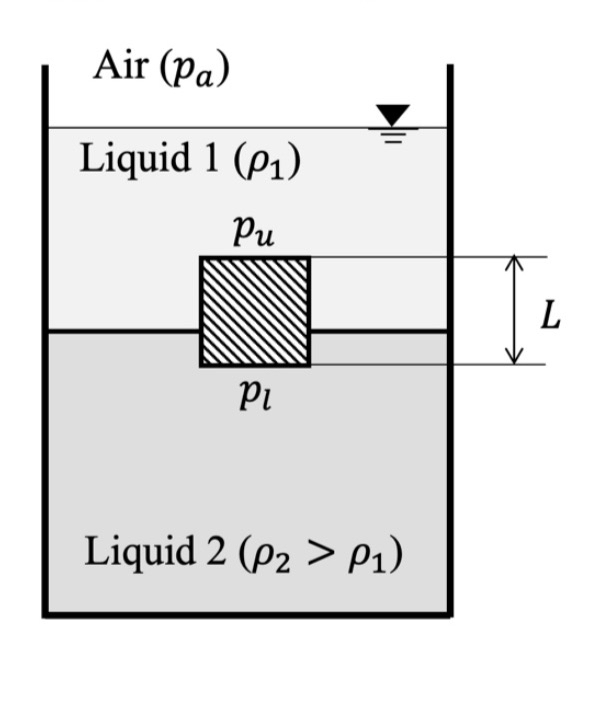 A hollow cube of length L floats at the interface