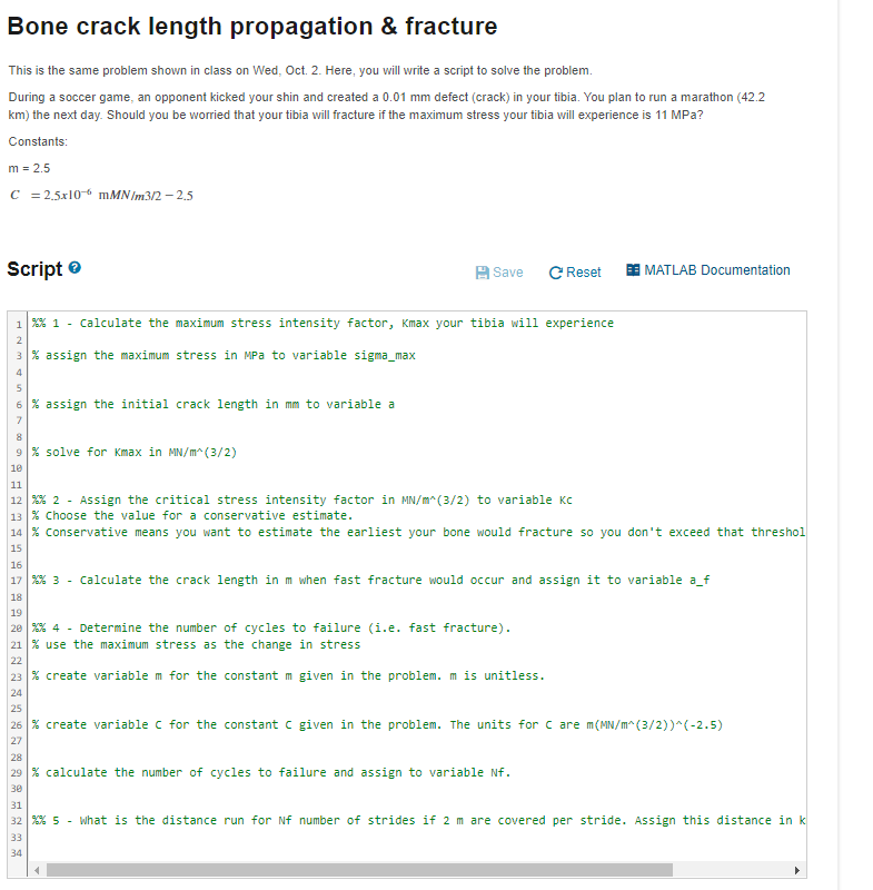 Bone crack length propagation \ & fracture This