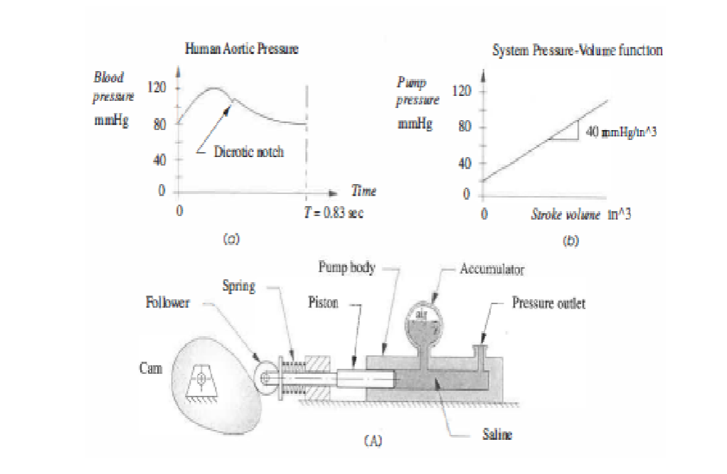 A cam - driven pump is needed to simulate human