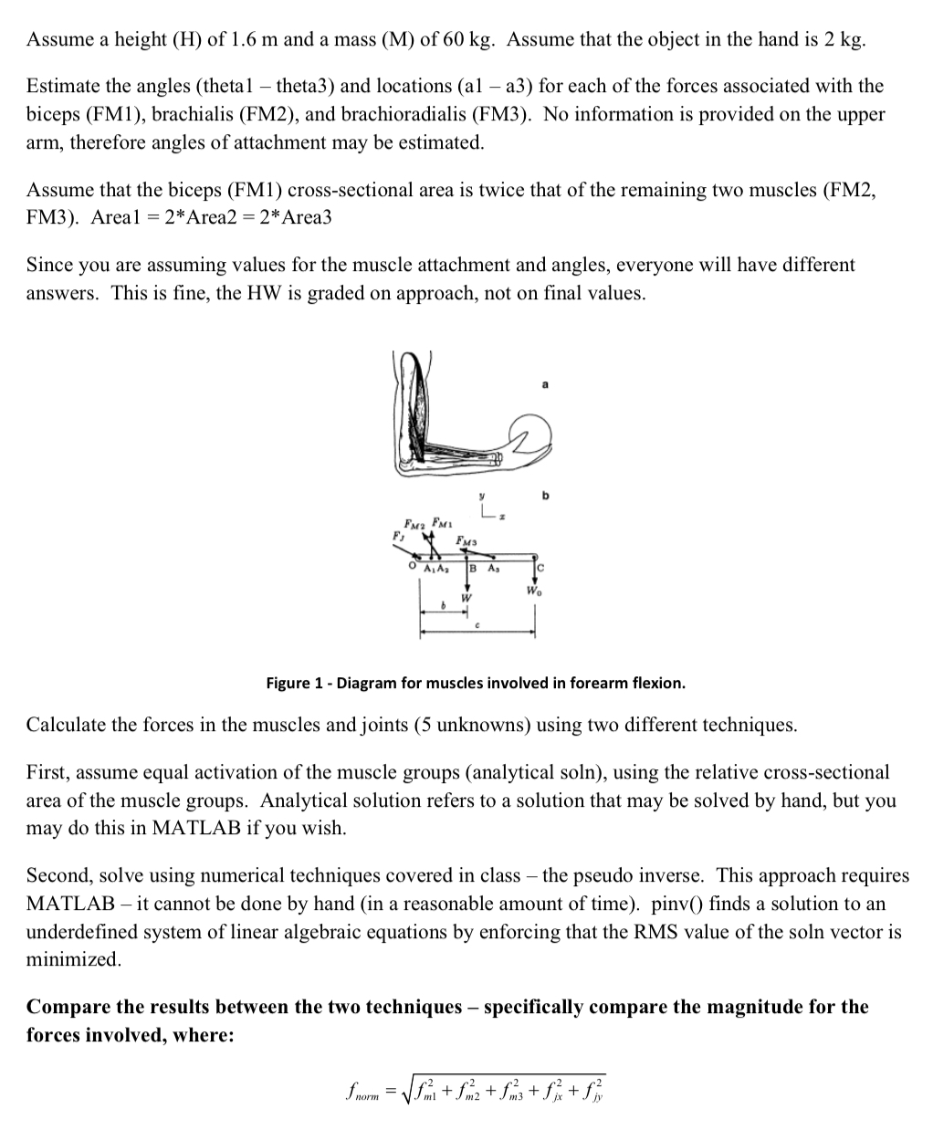 Assume a height ( H ) of 1 . 6 m and a mass ( M )